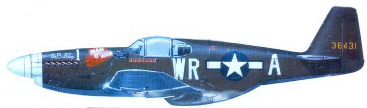 Иллюстрация к книге — Р-51 «Mustang» Часть 1 [pic_146.jpg]