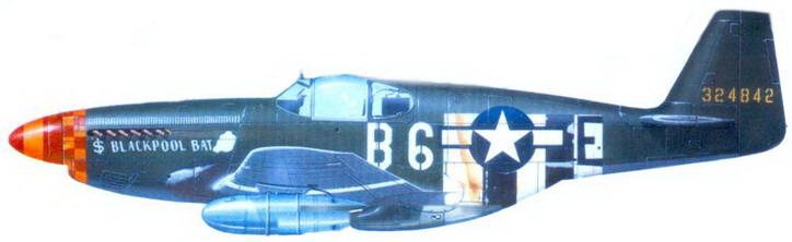 Иллюстрация к книге — Р-51 «Mustang» Часть 1 [pic_147.jpg]