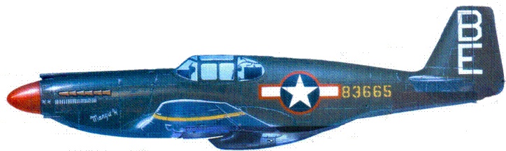 Иллюстрация к книге — Р-51 «Mustang» Часть 1 [pic_154.jpg]