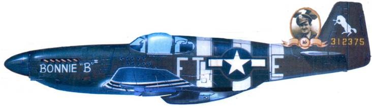 Иллюстрация к книге — Р-51 «Mustang» Часть 1 [pic_156.jpg]