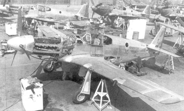 Иллюстрация к книге — Р-51 «Mustang» Часть 1 [pic_36.jpg]