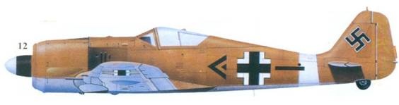 Иллюстрация к книге — Асы люфтваффе пилоты Fw 190 на Западном фронте [pic_146.jpg]