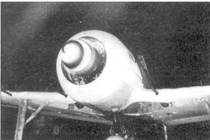 Иллюстрация к книге — Асы люфтваффе пилоты Fw 190 на Западном фронте [pic_56.jpg]