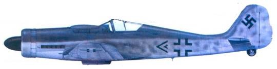 Иллюстрация к книге — Асы люфтваффе. Пилоты Fw 190 на Восточном фронте [pic_117.jpg]