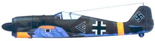 Иллюстрация к книге — Асы люфтваффе. Пилоты Fw 190 на Восточном фронте [pic_123.jpg]