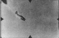 Иллюстрация к книге — Me 262 последняя надежда Люфтваффе Часть 1 [pic_103.jpg]