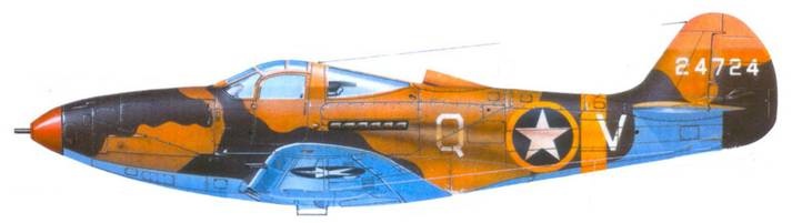 Иллюстрация к книге — Р-39 «Аэрокобра» Часть 2 [pic_122.jpg]