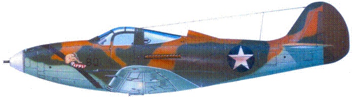 Иллюстрация к книге — Р-39 «Аэрокобра» часть 1 [pic_133.jpg]