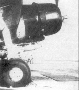 Иллюстрация к книге — D3A «Val» B5N «Kate» ударные самолеты японского флота [pic_32.jpg]