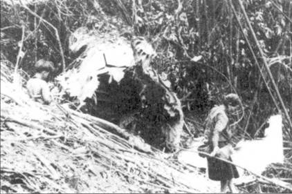 Иллюстрация к книге — Боевое применение МиГ-21 во Вьетнаме [pic_18.jpg]