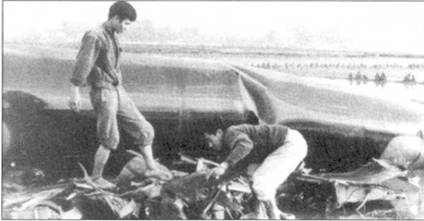 Иллюстрация к книге — Боевое применение МиГ-21 во Вьетнаме [pic_82.jpg]