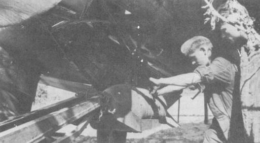 Иллюстрация к книге — Ju 87 «Stuka» часть 1 [pic_81.jpg]