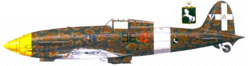 Иллюстрация к книге — Итальянские асы 1940-45 г. [pic_157.jpg]