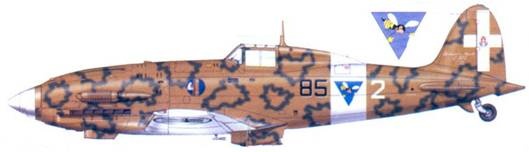 Иллюстрация к книге — Итальянские асы 1940-45 г. [pic_183.jpg]