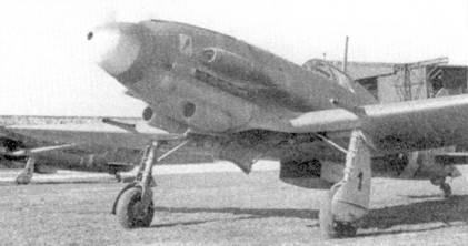 Иллюстрация к книге — Итальянские асы 1940-45 г. [pic_30.jpg]