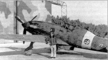 Иллюстрация к книге — Итальянские асы 1940-45 г. [pic_43.jpg]