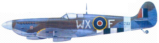 Иллюстрация к книге — Британские асы пилоты «Спитфайров» Часть 2 [pic_100.jpg]