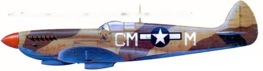 Иллюстрация к книге — Британские асы пилоты «Спитфайров» Часть 2 [pic_216.jpg]