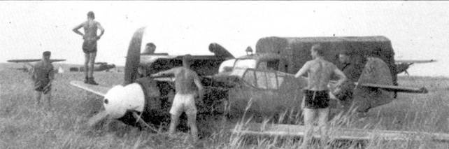 Иллюстрация к книге — Асы Люфтваффе Пилоты люфтваффе Bf 109 на Восточном Фронте [pic_103.jpg]