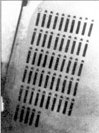 Иллюстрация к книге — Асы Люфтваффе Пилоты люфтваффе Bf 109 на Восточном Фронте [pic_4.jpg]