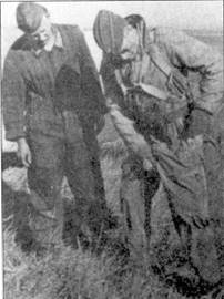 Иллюстрация к книге — Асы Люфтваффе Пилоты люфтваффе Bf 109 на Восточном Фронте [pic_74.jpg]