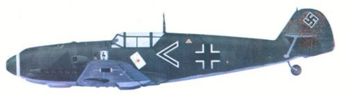Иллюстрация к книге — Асы Люфтваффе пилоты Bf 109 D/E 1939-41 [pic_19.jpg]