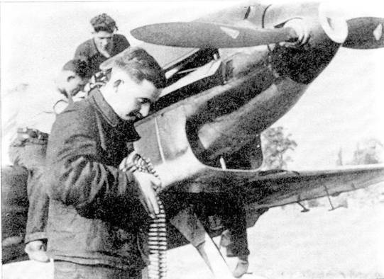Иллюстрация к книге — Асы Люфтваффе пилоты Bf 109 D/E 1939-41 [pic_7.jpg]