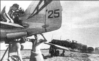 Иллюстрация к книге — Японские асы. Армейская авиация 1937-45 [pic_100.jpg]