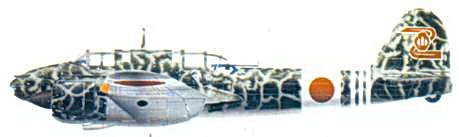 Иллюстрация к книге — Японские асы. Армейская авиация 1937-45 [pic_163.jpg]