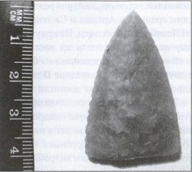 Иллюстрация к книге — Скифы. Исчезнувшие владыки степей [i_006.jpg]