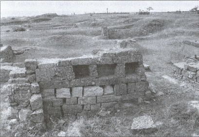 Иллюстрация к книге — Скифы. Исчезнувшие владыки степей [i_066.jpg]