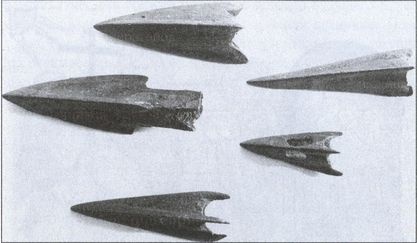 Иллюстрация к книге — Скифы. Исчезнувшие владыки степей [i_088.jpg]