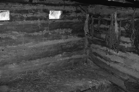 Иллюстрация к книге — Славянская Европа V-VIII веков [i_016.jpg]