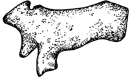 Иллюстрация к книге — Славянская Европа V-VIII веков [i_063.jpg]