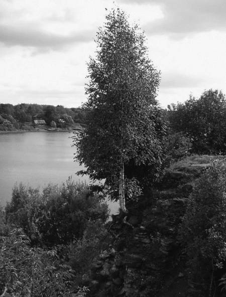 Иллюстрация к книге — Славянская Европа V-VIII веков [i_078.jpg]