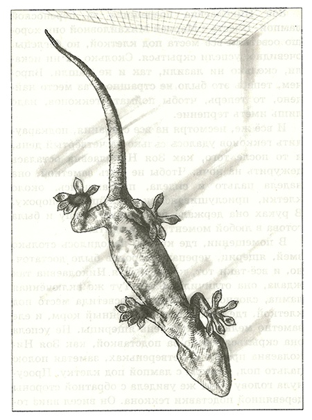 Иллюстрация к книге — Питомцы Зоопарка [i_005.jpg]