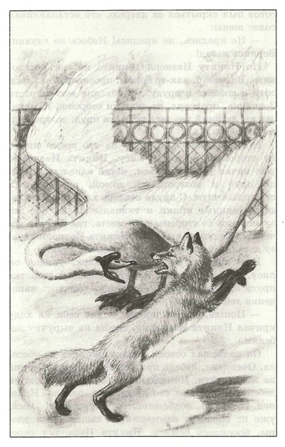 Иллюстрация к книге — Питомцы Зоопарка [i_014.jpg]