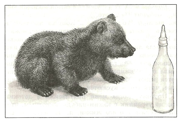 Иллюстрация к книге — Питомцы Зоопарка [i_016.jpg]