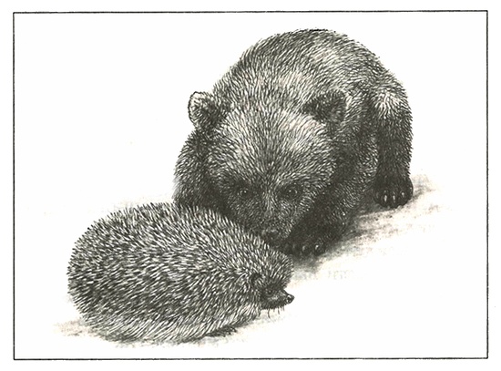 Иллюстрация к книге — Питомцы Зоопарка [i_017.jpg]