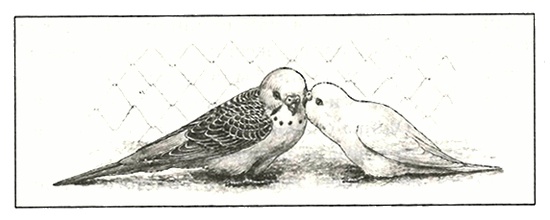 Иллюстрация к книге — Питомцы Зоопарка [i_018.jpg]