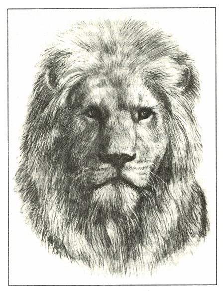 Иллюстрация к книге — Питомцы Зоопарка [i_021.jpg]