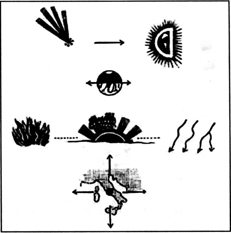 Иллюстрация к книге — Гибель мира [i_022.jpg]