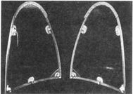 Иллюстрация к книге — Р-51 Mustang – техническое описание и боевое применение [pic_217.jpg]