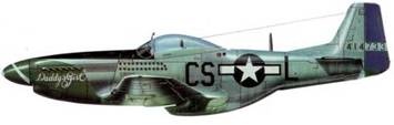 Иллюстрация к книге — Р-51 Mustang – техническое описание и боевое применение [pic_261.jpg]