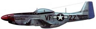 Иллюстрация к книге — Р-51 Mustang – техническое описание и боевое применение [pic_266.jpg]