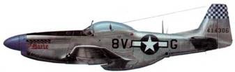 Иллюстрация к книге — Р-51 Mustang – техническое описание и боевое применение [pic_268.jpg]