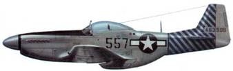 Иллюстрация к книге — Р-51 Mustang – техническое описание и боевое применение [pic_273.jpg]