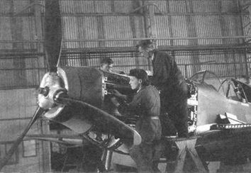 Иллюстрация к книге — Р-51 Mustang – техническое описание и боевое применение [pic_8.jpg]