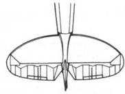 Иллюстрация к книге — Supermarine Spitfire. Часть 2 [pic_220.jpg]