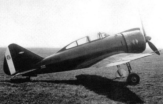 Иллюстрация к книге — Итальянские истребители Reggiane во Второй мировой войне [pic_8.jpg]